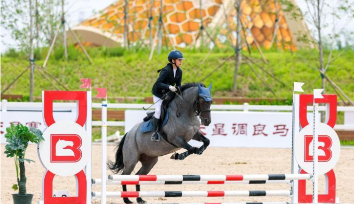2026超级马术俱乐部联赛北京举行